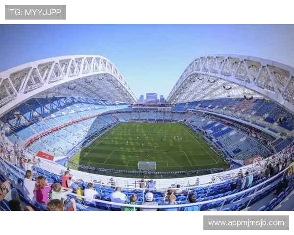 世界杯足球赛举办地的详细介绍与历史背景解析