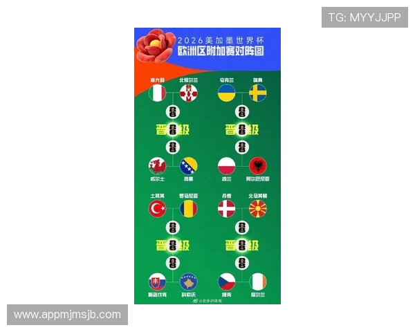 美加墨世界杯参赛队伍数详解及最新统计数据分析